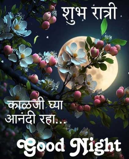 Good Night Quotes in Marathi on Life
